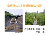 sumide