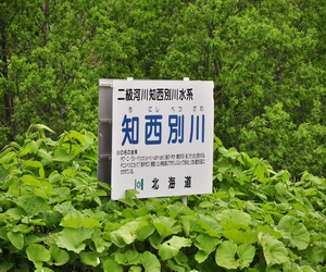 知西別川　－チニシベツガワ－　Chinishibetsugawa