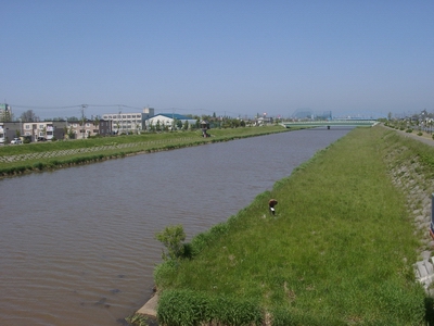 第4回　身近な水環境の全国一斉調査に参加しました