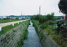 小河川におけるヤマメ産卵床の創出